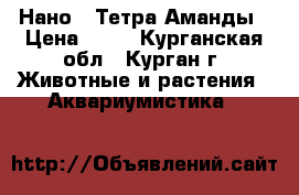 Нано - Тетра Аманды › Цена ­ 50 - Курганская обл., Курган г. Животные и растения » Аквариумистика   